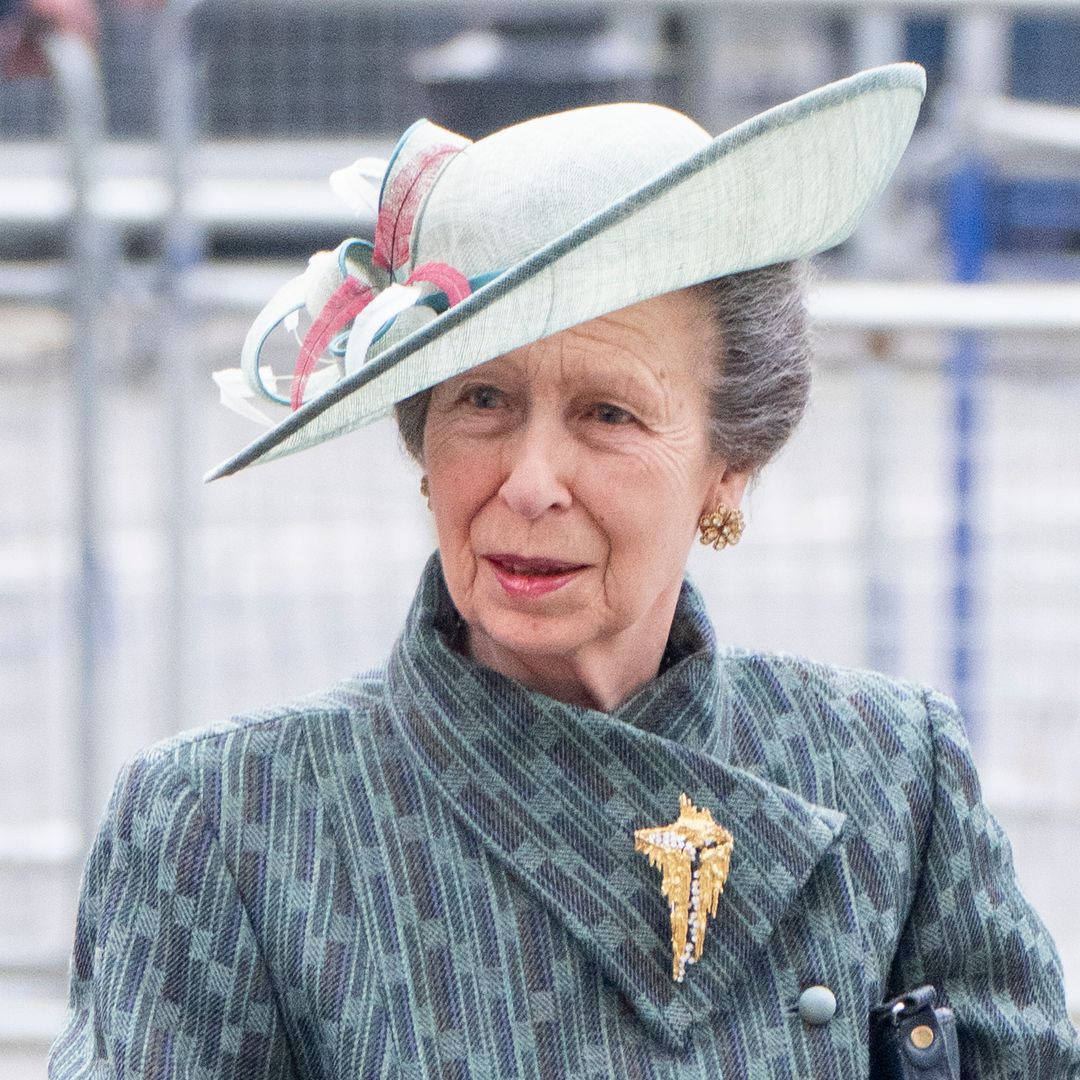 Hardworking Princess Anne is radiant in photos 4,100 miles from home